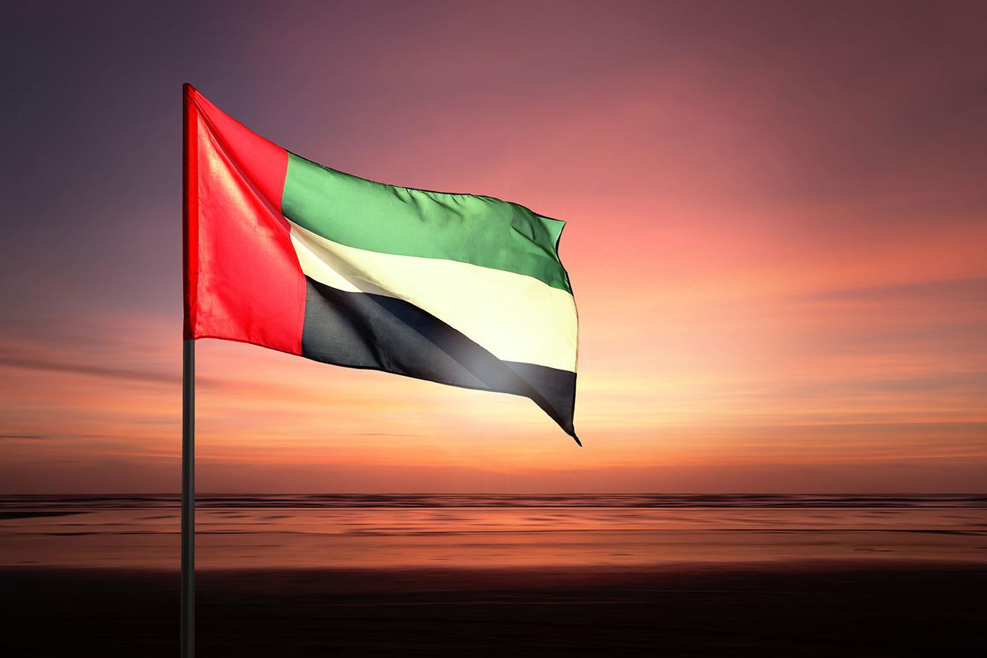 Income Tax, VAT and Excise Tax and Tax Procedures Updates in the UAE - A Breakdown